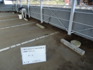 3月30日（水）