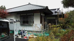 １１月１９日（土）