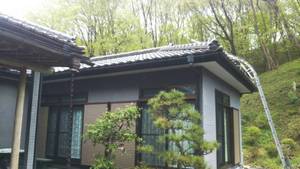 5月20日