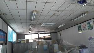 6月26日