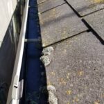 before
屋根全体に苔が生え始めています。
これは屋根の防水能力が衰えてきた合図！！