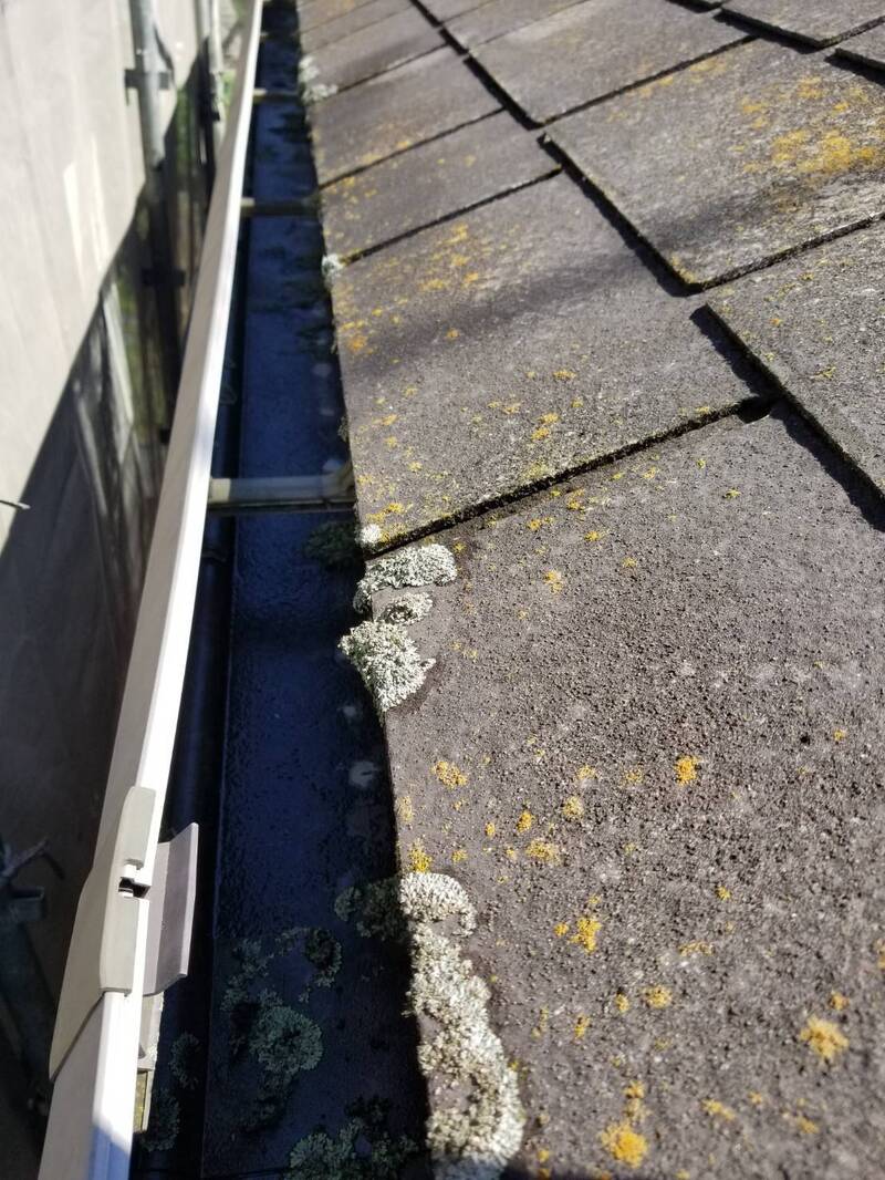 before
屋根全体に苔が生え始めています。
これは屋根の防水能力が衰えてきた合図！！