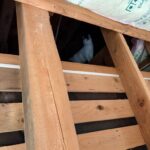 解体中に家猫ちゃんが小屋裏に入ってしまい、一騒動ありつつ(;'∀')